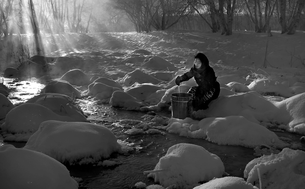 Purity in The Woods – Bashang , China